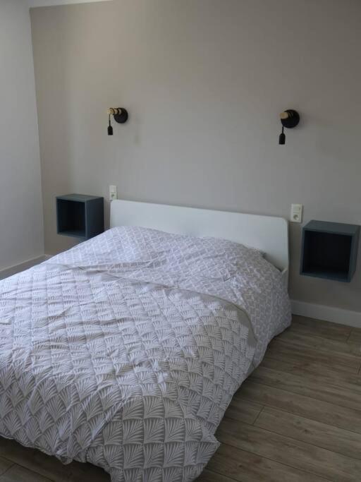 Spacieux Appartement Au Pied De La Cite Medievale Carcassonne Exteriör bild