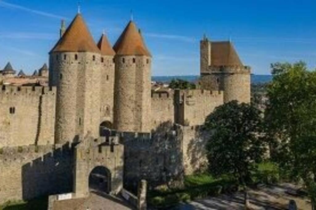 Spacieux Appartement Au Pied De La Cite Medievale Carcassonne Exteriör bild